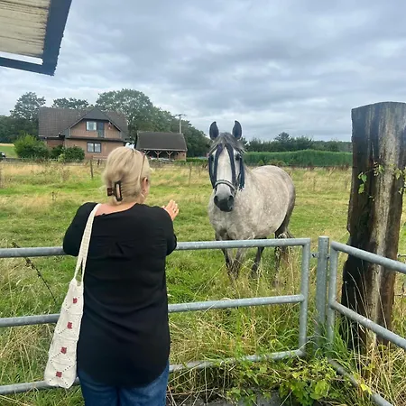 Firmenunterkunft Mert Betten 3 Сasa de vacaciones *