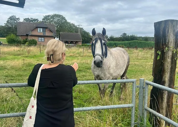 Firmenunterkunft Mert Betten 3 Prázdninový dům *
